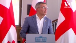 მამუკა მდინარაძე, "ქართული ოცნება"