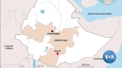 Hoogganoota Aanaa Gooroo Doolaa Duraanii Hidhamanii Jiran Manni-murtii Akka Wabiin Gad-lakkisaman Ajajui Gad Hin Lakkifamin Jiran Jedhame  