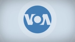 Искусственный интеллект проектирует роботов; скамейки из пластиковых бутылок | «Детали» 