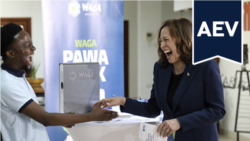 L'Amérique et Vous : les relations entre les Etats-Unis et l’Afrique