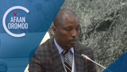 Tamsaasa Guyaadhaa Guyyaa