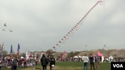 日本风筝大师土岐干男正在展示他为华府樱花风筝节准备的美日友好风筝 (美国之音/莫干生)