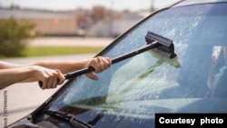 FILE - A girl washes dead insects from the windshield of the car. (Photo by goodmoments via Adobe Stock)