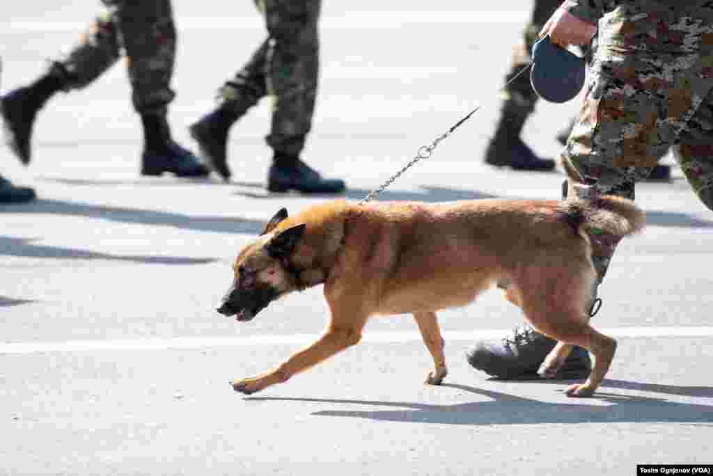 Пречек на специјалните армиски сили од спасувачка мисија во Турција