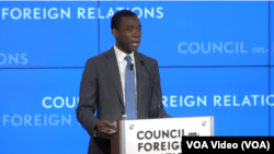 美国财政部副部长沃利·阿德耶莫(Wally Adeyemo)在美国外交关系协会针对国际社会对俄罗斯的制裁发表讲话。（视频截图）