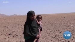 ደቡብ እና ደቡብ ምስራቅ የኢትዮጵያ ክፍሎች ለረሃብ አደጋ ተጋልጠዋል
