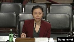 보니 린 미 전략국제문제연구소(CSIS) 선임연구원이 15일 상원 군사위원회 청문회에서 증언했다.