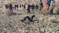 Ամերիկացի ուսանողների «մեծ գաղափարը» կարող է օգնել ՆԱՍԱ-ին լուսնի ուսումնասիրության հարցում