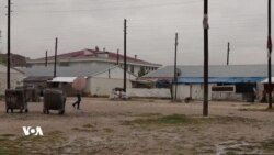 Penaberên Kurd li Wanê di Mercên Xirab de Dijîn