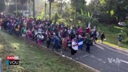 Etazini Mete Presyon pou Meksik Ede l Konbat Imigrasyon Ilegal