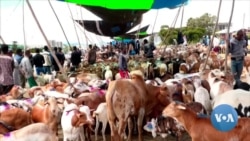 በጸጥታ ችግሮች የመንገዶች መዘጋት የበዓል ግብይቱን ማናሩን ነጋዴዎች ተናገሩ