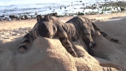 Lissabonun qumdan heykəlləri