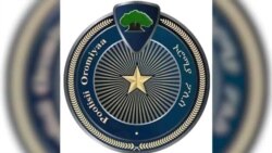 Sababaan Balaa Konkolaataa Barsiistota Yuniversitii Madda Walaabuu Galaafate Rakkoo Daandii Ta'uun Qaamotiin Adda Addaa Ibsamaa Jira