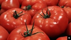 Наместо по поевтини цени, земјоделските производи, се продаваат по енормно високи цени