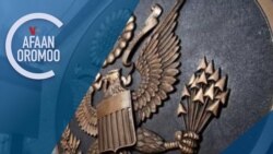 Tamsaasa Guyaadhaa Guyyaa