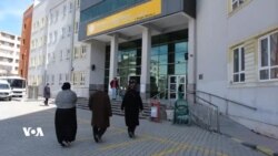 Nirxandina Roja Hilbijartinê li Wanê