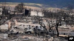 Гувернерот на Хаваите Џош Грин рече дека бројот на загинати се очекува да се зголеми. На 4 500 луѓе им е потребно засолниште.