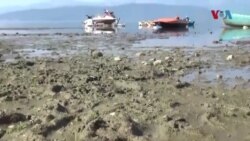 Преспанското езеро се соочува со исчезнување