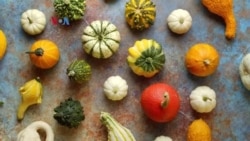 Penjualan Makanan dan Minuman Rasa Labu Tembus Setengah Miliar Dolar