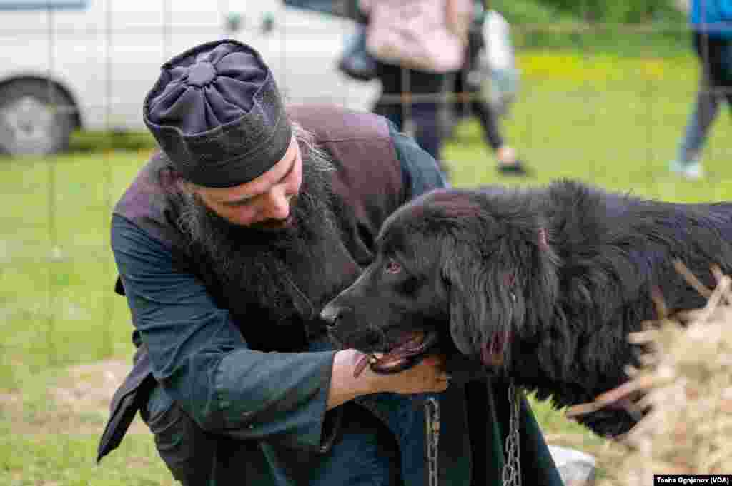 Exhibition of Macedonian shepherds dog Karaman (Изложба на македонско автохтоно овчарско куче караман)