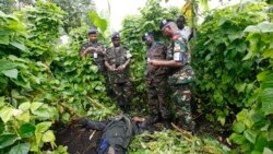 Sango ya Mokili Lelo: Rwanda ebomi basoda basato ya RDC na mabele ma yango