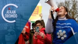 Tamsaasa Guyaadhaa Guyyaa