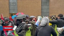 Öğrenci hareketi Amerika’dan İngiltere’ye sıçradı