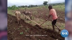 ደቡብ ክልል ውስጥ ከሁለት ሚሊየን በላይ ሰው እርዳታ ይጠብቃል