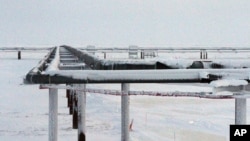 资料照片：阿拉斯加北坡一处石油开采地点的管道。(2016年2月9日)