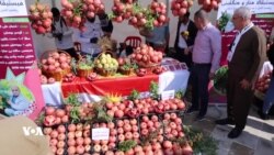 Li Zaxo Festîvala Hinaran Destpê Kir