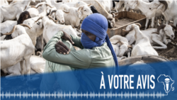  À Votre Avis : la Tabaski en Afrique