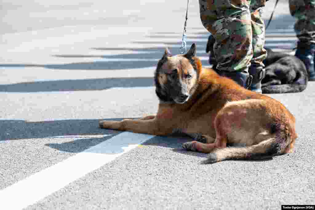 Пречек на специјалните армиски сили од спасувачка мисија во Турција