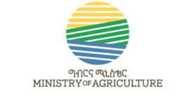 በግብአት እጥረት ያለማዳበሪያ የዘሩ አርሶ አደሮች የምርት እጥረት እንዳይገጥማቸው ስጋታቸውን ገለጹ