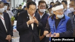 日本首相岸田文雄在东京一个水产品市场时食用福岛附近水域打捞的海鲜。（2023年8月31日）