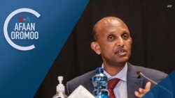 Tamsaasa Guyaadhaa Guyyaa