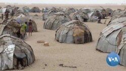 በኢትዮጵያ ለሚገኙ ሶማሊያውያን ስደተኞች ዓለም አቀፍ ድጋፍ ተጠየቀ