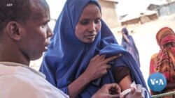 Oromiyaa keessatti Talaaliin Ittisa Koleeraa Kennamaa Akka Jiru Biiroon Fayyaa Naannichaa Beeksise