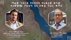 ጣልቃ ገብነት በበዛበት የአፍሪቃ ቀንድ ተለዋዋጭ ፖለቲካ የቀጣናው ሀገራት በጋራ ሊሠሩ እንደሚገባ ምሁራን አሳሰቡ