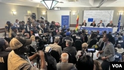 FILE - European Union election observer mission talks to reporters in Harare, Zimbabwe. (Columbus Mavhunga/VOA)