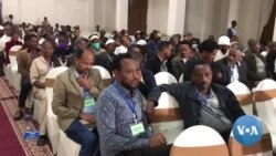 ▶ውድብ ዓረና ኣብ መስርሕ ምጥያስ ግዜያዊ ምምሕዳር ትግራይ ተቓውሞኡ የስምዕ