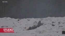 Američki stručnjaci govore o scenarijima okončanja rata u Ukrajini