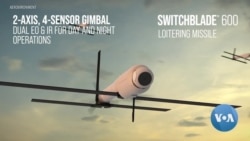 ስዊችብሌድ-600 “አንዣባቢው አጥፍቶ ጠፊ ሰዋልባ”