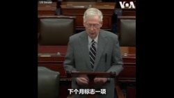 参院少数党领袖就《台湾关系法》生效45周年发表讲话