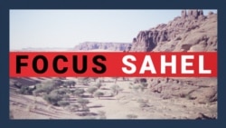 Focus Sahel