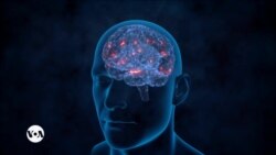 በወጣቶች ላይ የሚከሰት የሰውነት አለመታዘዝ እና የነርቮች ጉዳት