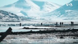 Aрктичко земјиште за потенцијални кинески купувачи