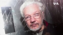 Џулијан Асанж од Викиликс може да поднесе жалба за екстрадиција во САД врз основа на слободата на говорот