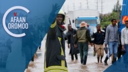 Tamsaasa Guyaadhaa Guyyaa