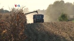 Desakan Larangan Jual Lahan Pertanian AS ke Tiongkok dan Pihak Asing Lainnya