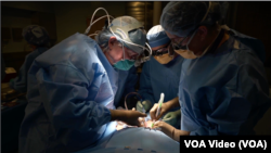 مانتگمری تا به حال بیش از ۲۰۰۰ عمل جراحی پیوند گرده انجام داده است. در بهار سال ۲۰۲۲ اندکی پس از حمله روسیه به اوکراین او تصمیم گرفت به مریضان آنجا کمک کند.